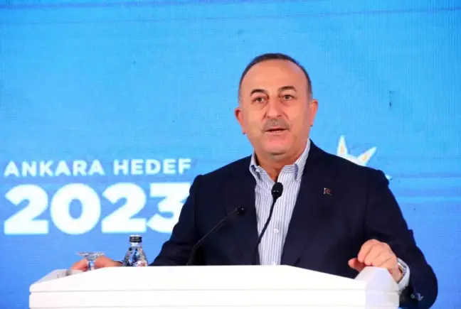 Çavuşoğlu: 