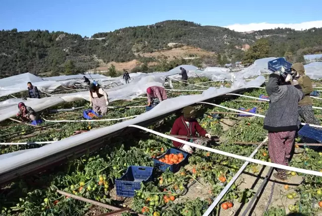 Antalya'da seraları bu defa poyraz fırtınası vurdu