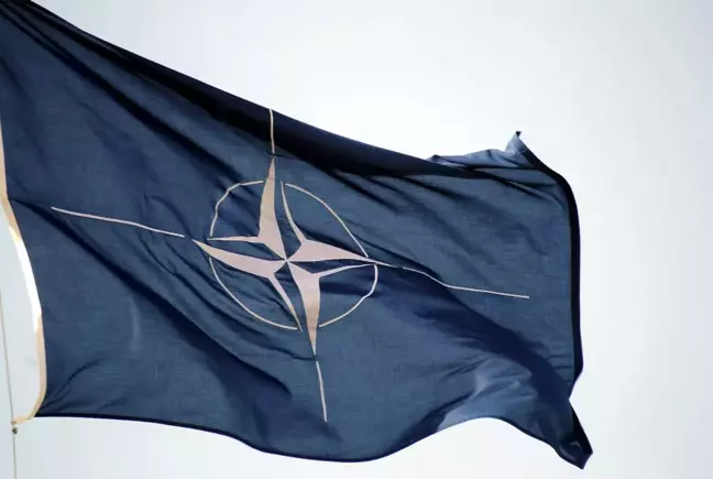 NATO'nun Olağanüstü Çevrimiçi Zirvesi Başladı