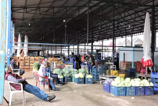 Rusya'nın Ukrayna operasyonu Antalya halinden ihracatı durdurdu, fiyatlar yüzde 60 ucuzladı