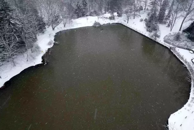 Atatürk Arboretumu'nda kartpostallık kar manzaraları