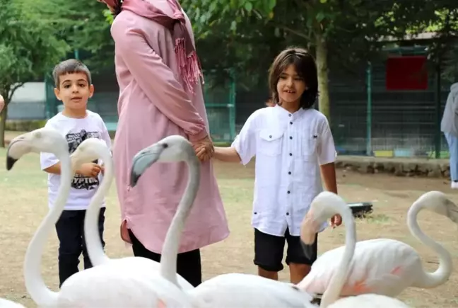 Hayvanlar ile eğitim Avrupa Birliği yolunda