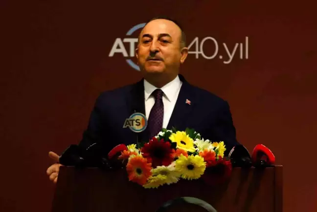 Bakan Çavuşoğlu: 