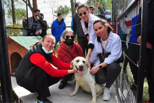 TSK'nın bomba arama köpeği Afi öğrencilerin 'can dostu' oldu