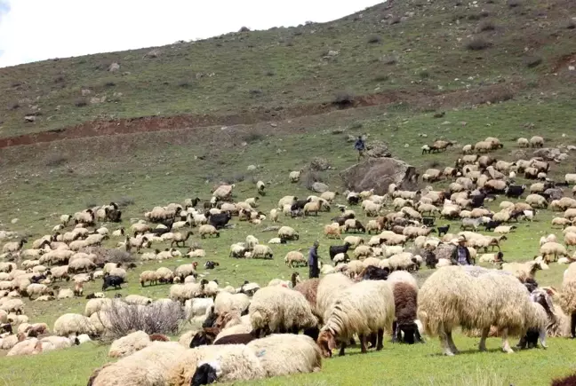 Kar ve tipi nedeniyle mahsur kalan göçerler kurtarıldı