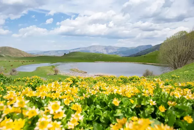 Erzurum'un ilçeleri ilkbahar güzelliğiyle fotoğraf tutkunlarını ağırlıyor