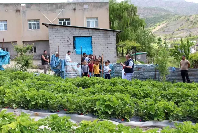 Şırnak'ta faaliyete giren projelerle ailelerin ekonomisine katkı sağlanıyor