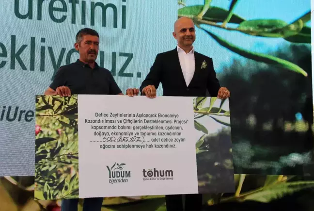 Yudum Egemden ve Tohum Derneği, yabani zeytin ağaçlarını ekonomiye kazandırıyor