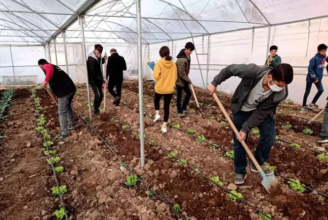 Mardin'de meslek lisesinde uygulamalı tarım eğitimi