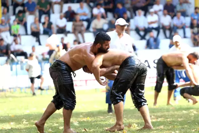 Akbalık Yağlı Güreşleri Başpehlivanı Serhat Gökmen oldu