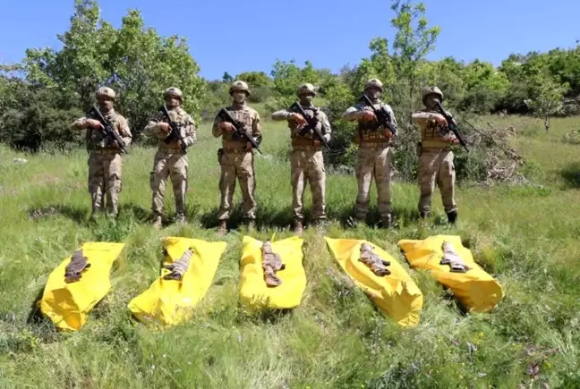 Bakan Soylu, Şırnak'ta etkisiz hale getirilen terörist sayısının 5'e yükseldiğini duyurdu