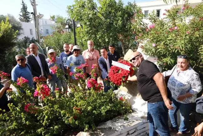 Halikarnas Balıkçısı'nın ölüm yıl dönümü anma töreni düzenlendi