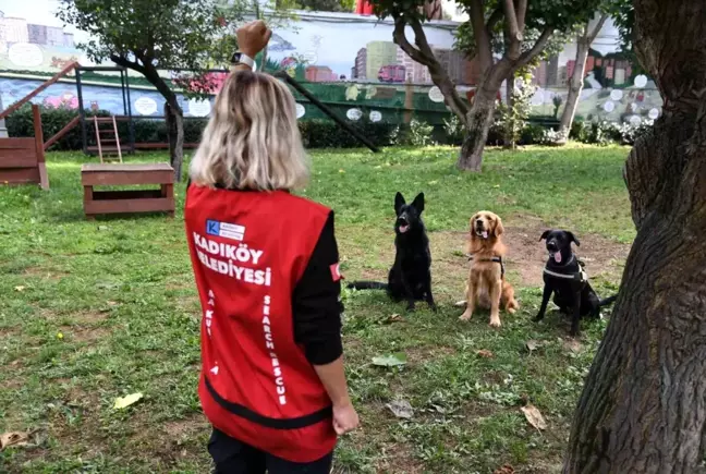 Kadıköy Belediyesi'nin yeni arama kurtarma köpeği Coco sertifikasını aldı