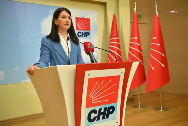 CHP Genel Başkan Yardımcısı Gökçe Gökçen, Adalet Bakanı'na tepki gösterdi