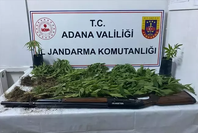Adana'da 4 Kilo Esrar ve 60 Kök Hint Keneviri Ele Geçirildi