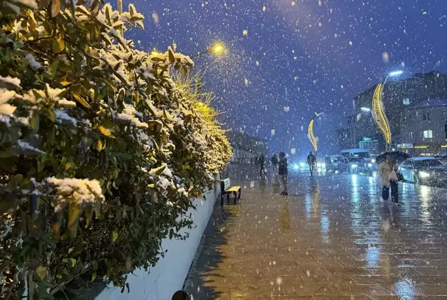 Van ve Hakkari'de Kar Yağışı Trafiği Etkiledi