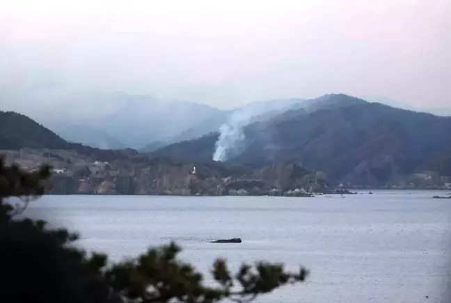 Japonya'da orman yangını: 1 kişi hayatını kaybetti