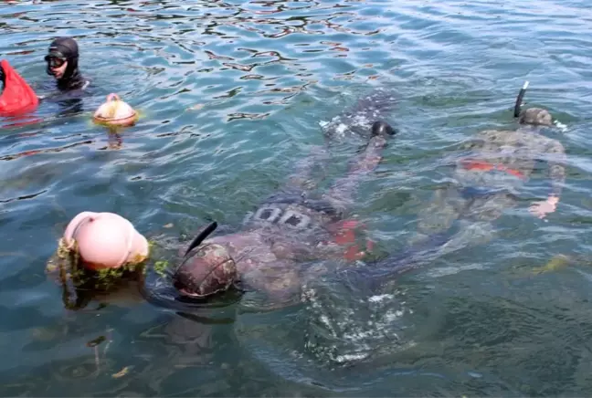 Yalovalı zıpkıncılar bu kez deniz canlıları için daldı