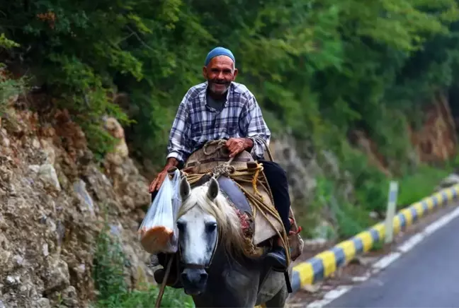 60 yıldır at üstünde elma satıyor