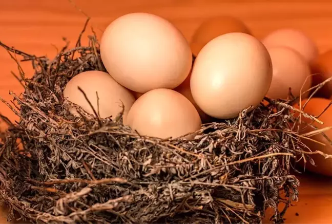 Rüyada yumurta görmek ne anlama gelir? Rüyada kırık yumurta görmek nedir? Rüyada çatlak, bozuk yumurta görmek ne anlama gelir?