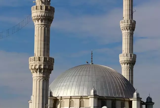 Havalar soğumayınca leylekler, Iğdır'ı mesken tuttu