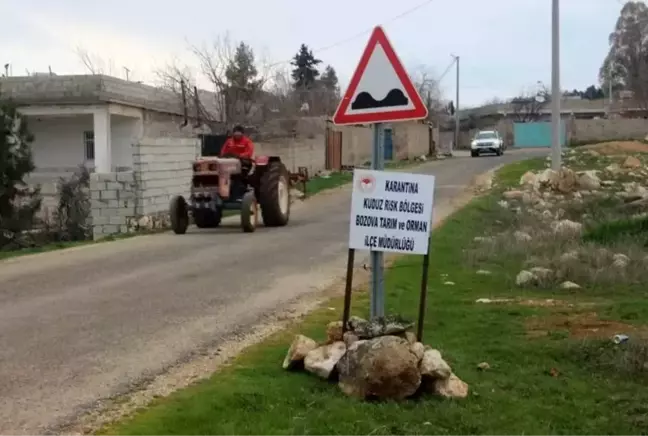 Kadını ısıran köpek telef oldu, tüm mahalle karantinaya alındı