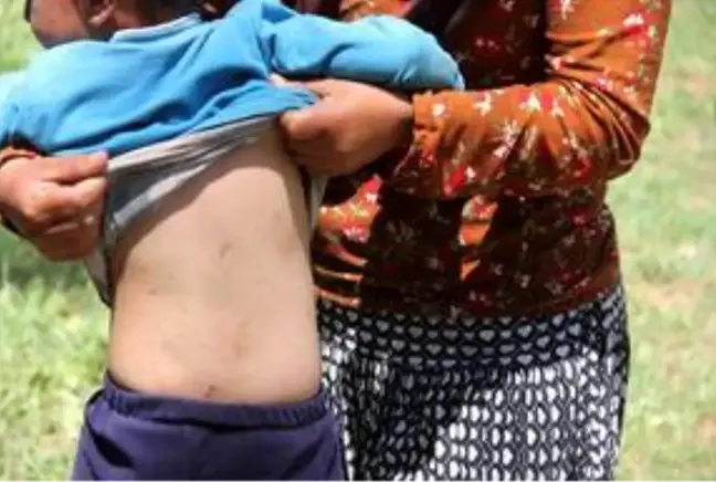 Türkiye, çekirge istilası beklerken Sivas'ın Zara ilçesinde 6 köyü tırtıl bastı