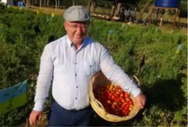 Ata tohumları Menteşe Belediyesine ödül getirdi