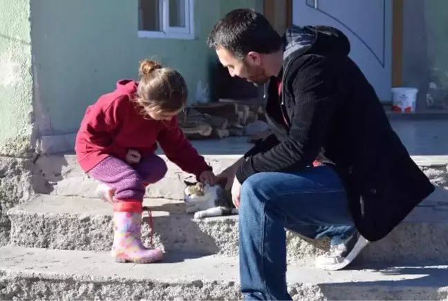 30 kediyi besleyen imam: Onlara baktıktan sonra Allan bize ikiz evlat verdi