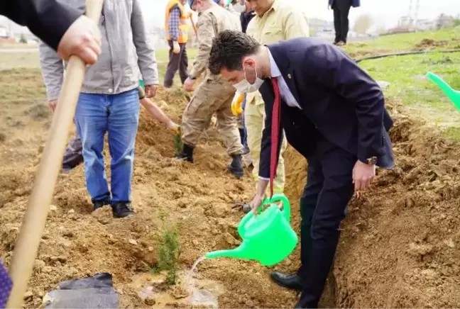 TOKAT'TA SAĞLIK ÇALIŞANLARI İÇİN 2 BİN FİDAN