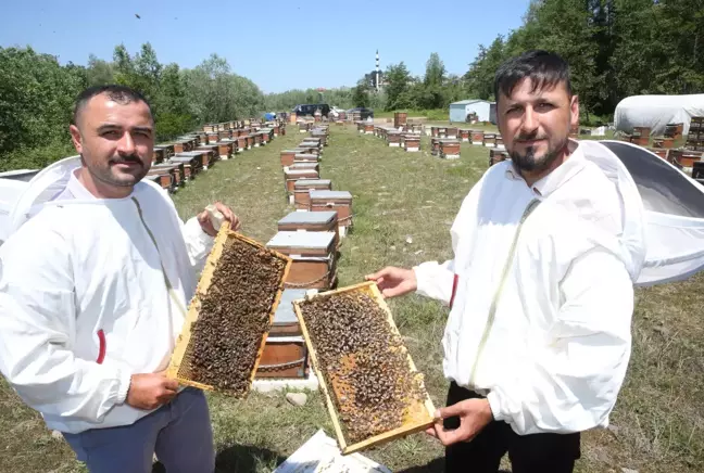 Baba mesleğini sürdüren kardeşler ana arı talebine yetişemiyor