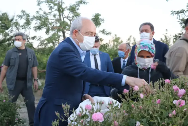 Kılıçdaroğlu, gül hasadına katıldı (2)