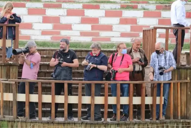 Aralarında Coşkun Aral'ın da bulunduğu fotoğraf sanatçıları inci kefali göçünü izledi