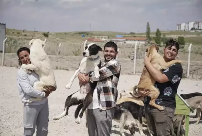 Son dakika haberi: Liseli Berzan, sokak köpeklerine yuva kurdu