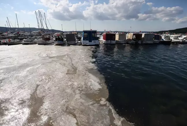 Kocaeli Büyükşehir Belediye Başkanı Büyükakın: Marmara'yı foseptik gibi kullanmışız