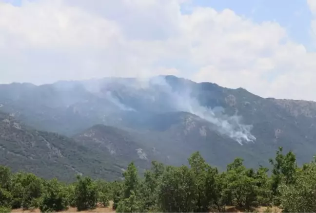 GÖRESE DAĞI'NDA 5 GÜN SÜREN ORMAN YANGININDA 30 HEKTAR ALAN YANDI