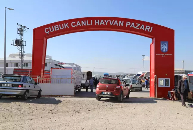 Çubuk'ta kurbanlık satışı başladı