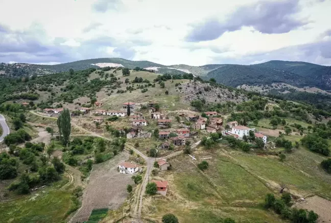 Terk ettikleri köye yıllar sonra dönen vatandaşlar geçmişi özlemle arıyor