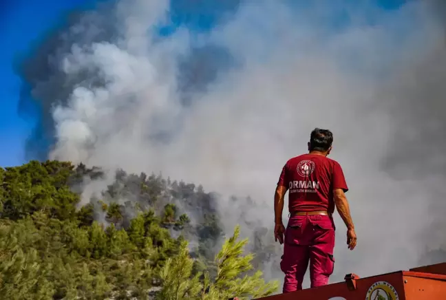 Son dakika haberi: Mersin Aydıncık'ta yangına karadan müdahale sürüyor