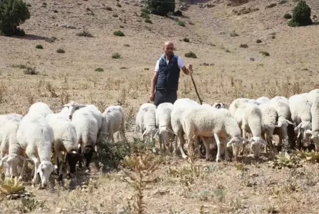 BEYİN KANAMASI GEÇİRİNCE 'YAŞAYAMAZ' DEDİLER, İŞKUR DESTEĞİYLE HAYATA TUTUNDU