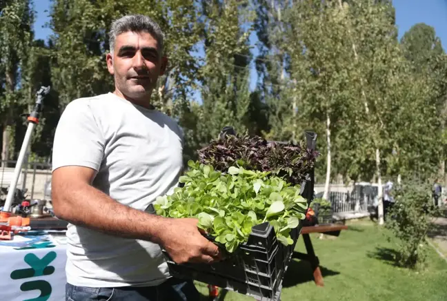 İki bin rakımlı Daphan Ovası'ndaki seralarda sebze ve meyve hasadına başlandı