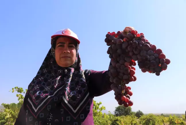 Burdur Gölü kenarında susuz yetişen Dimrit üzümünün pekmezi damakları tatlandırıyor