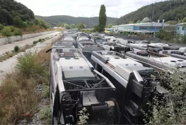 50 otobüs çürümeye terk edildi! Muhalefet Kadir Topbaş'ı suçladı, iktidar kanadı sessizliğini koruyor