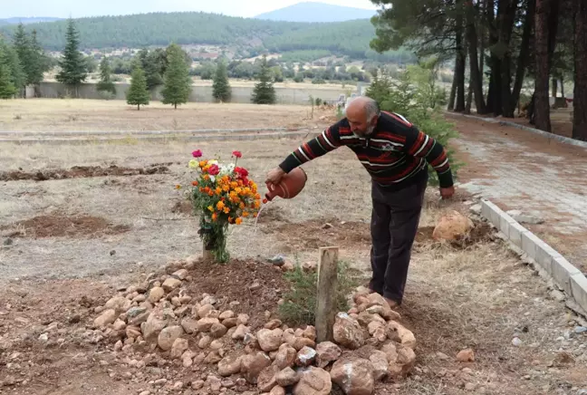 Almanya'da ormanlık alanda kemikleri bulunan kişi, son yolculuğuna uğurlandı