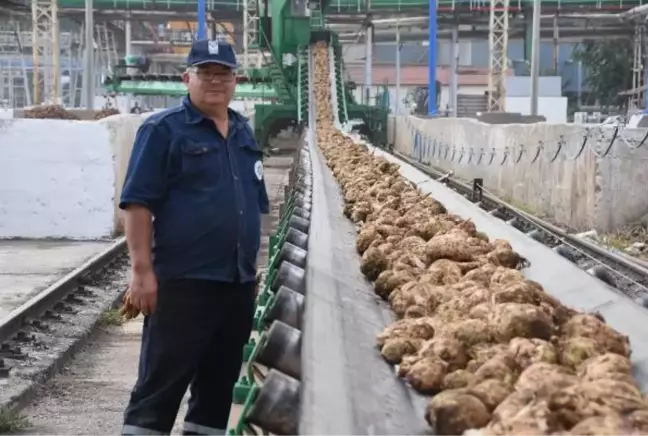 ESKİŞEHİR'DE PANCARLAR FABRİKAYA TESLİM EDİLMEYE BAŞLADI; 130 BİN TON ŞEKER ÜRETİLECEK