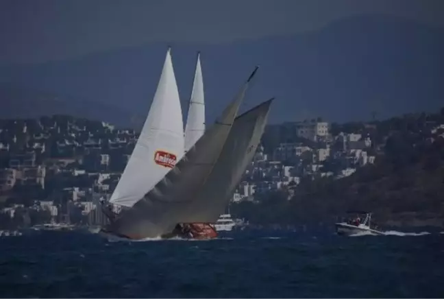 'Bodrum Cup' heyecanı başladı; yelkenler yangında zarar gören bölgelere açıldı (2)