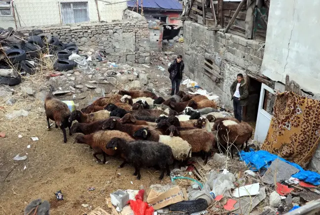 Erzurum'da çıkan yangın eski İller Bankası binası ile bir yurdun çatısına zarar verdi