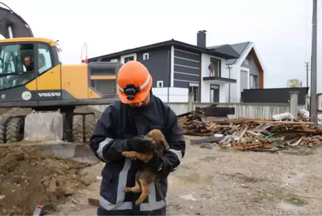 5 metrelik kuyuya düşen köpek iş makinesi yardımıyla kurtarıldı