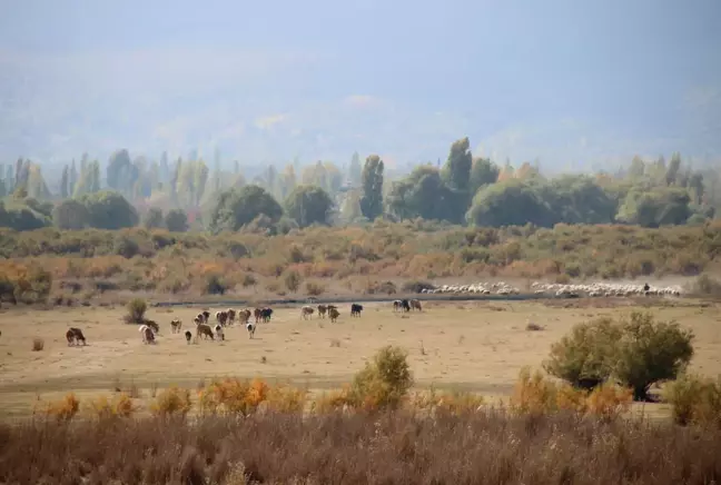 Son dakika haber | Tamamen kuruyan Akşehir Gölü'nün tabanında su bulundu