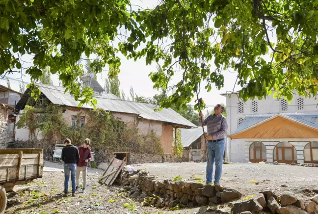 Tescilli Şebin cevizinin pestil ve kömeyle buluştuğu 